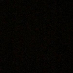 Meet your Posher, Chey